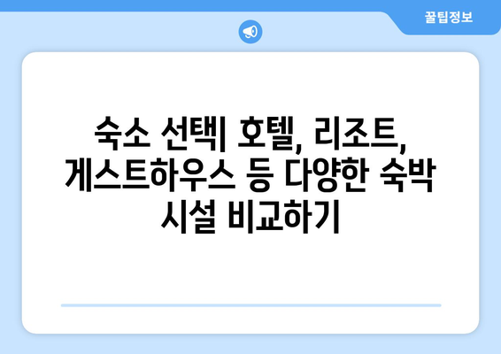 여행 패키지의 종류: 다양한 상품 비교하기